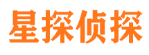 囊谦市调查公司